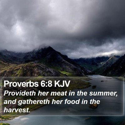 Proverbs 6:8 KJV Bible Verse Image