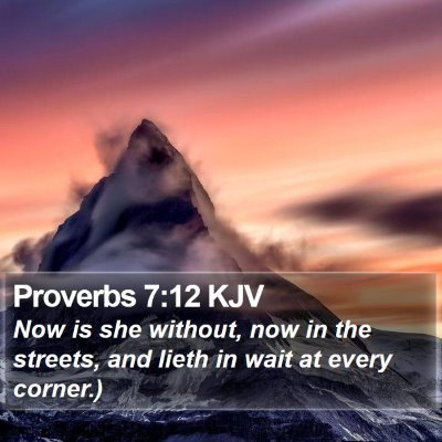 Proverbs 7:12 KJV Bible Verse Image
