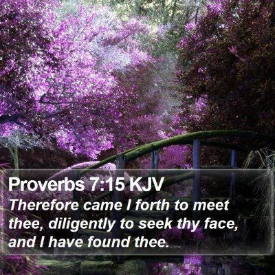 Proverbs 7:15 KJV Bible Verse Image