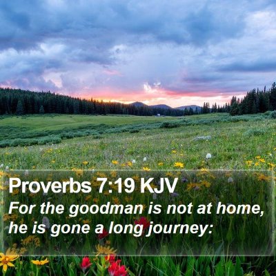 Proverbs 7:19 KJV Bible Verse Image