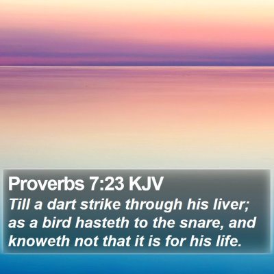 Proverbs 7:23 KJV Bible Verse Image