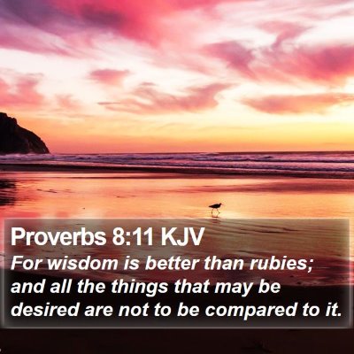 Proverbs 8:11 KJV Bible Verse Image