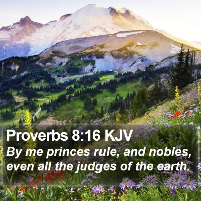 Proverbs 8:16 KJV Bible Verse Image