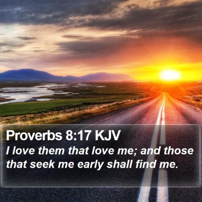 Proverbs 8:17 KJV Bible Verse Image