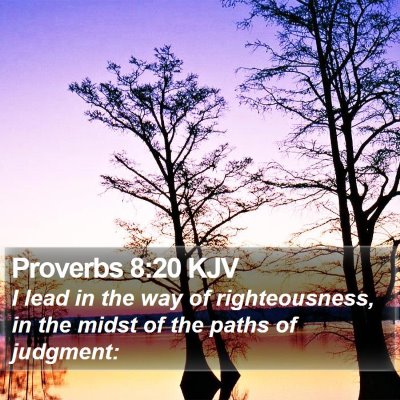 Proverbs 8:20 KJV Bible Verse Image