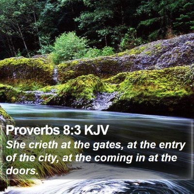 Proverbs 8:3 KJV Bible Verse Image