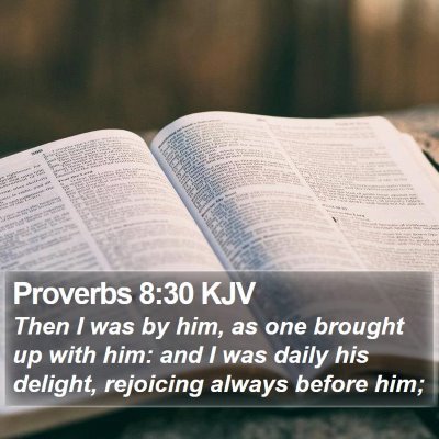 Proverbs 8:30 KJV Bible Verse Image
