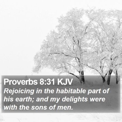 Proverbs 8:31 KJV Bible Verse Image