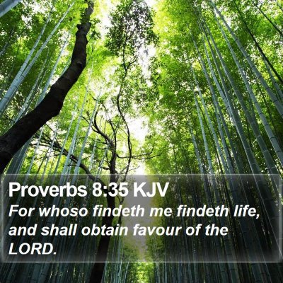 Proverbs 8:35 KJV Bible Verse Image