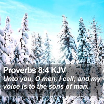 Proverbs 8:4 KJV Bible Verse Image