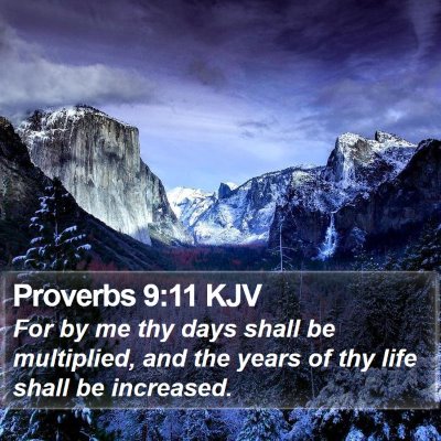 Proverbs 9:11 KJV Bible Verse Image