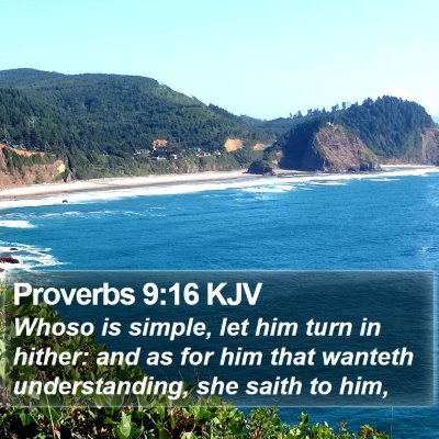 Proverbs 9:16 KJV Bible Verse Image