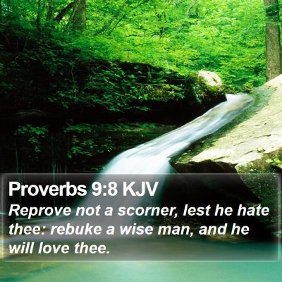 Proverbs 9:8 KJV Bible Verse Image