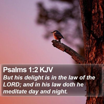 Psalms 1:2 KJV Bible Verse Image