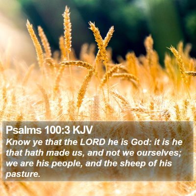 Psalms 100:3 KJV Bible Verse Image