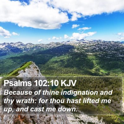 Psalms 102:10 KJV Bible Verse Image