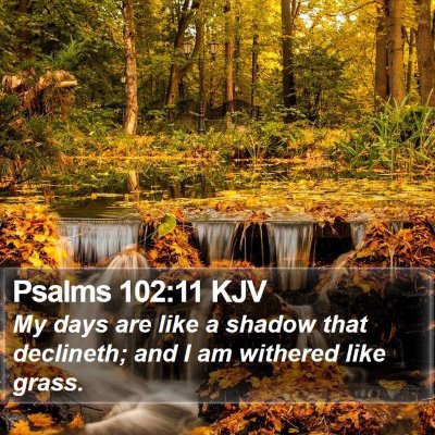 Psalms 102:11 KJV Bible Verse Image