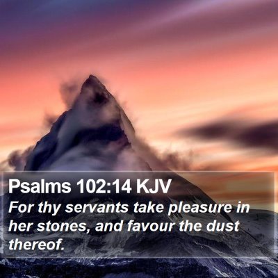 Psalms 102:14 KJV Bible Verse Image