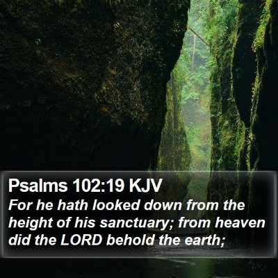 Psalms 102:19 KJV Bible Verse Image