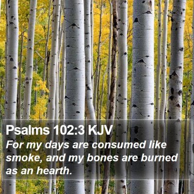 Psalms 102:3 KJV Bible Verse Image