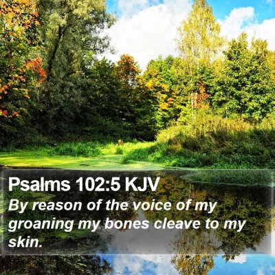 Psalms 102:5 KJV Bible Verse Image