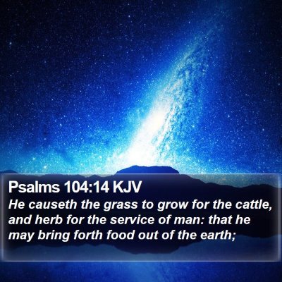 Psalms 104:14 KJV Bible Verse Image