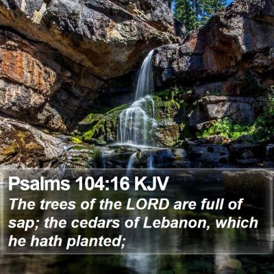 Psalms 104:16 KJV Bible Verse Image
