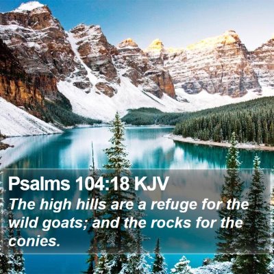 Psalms 104:18 KJV Bible Verse Image