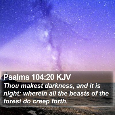 Psalms 104:20 KJV Bible Verse Image