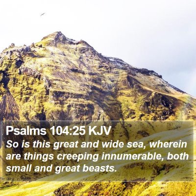 Psalms 104:25 KJV Bible Verse Image