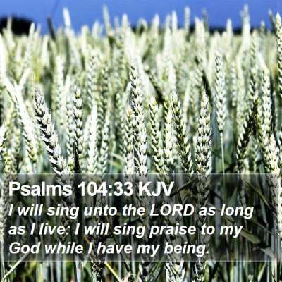 Psalms 104:33 KJV Bible Verse Image