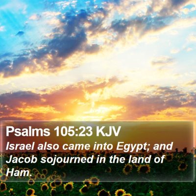 Psalms 105:23 KJV Bible Verse Image