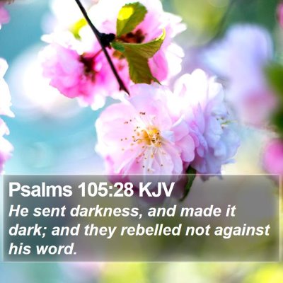 Psalms 105:28 KJV Bible Verse Image