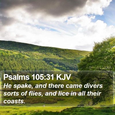 Psalms 105:31 KJV Bible Verse Image