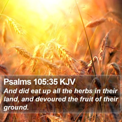 Psalms 105:35 KJV Bible Verse Image