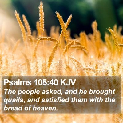 Psalms 105:40 KJV Bible Verse Image