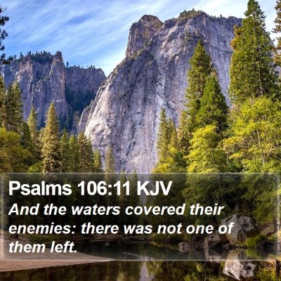 Psalms 106:11 KJV Bible Verse Image