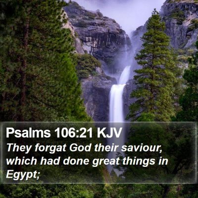 Psalms 106:21 KJV Bible Verse Image