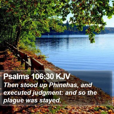 Psalms 106:30 KJV Bible Verse Image