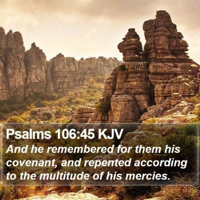 Psalms 106:45 KJV Bible Verse Image