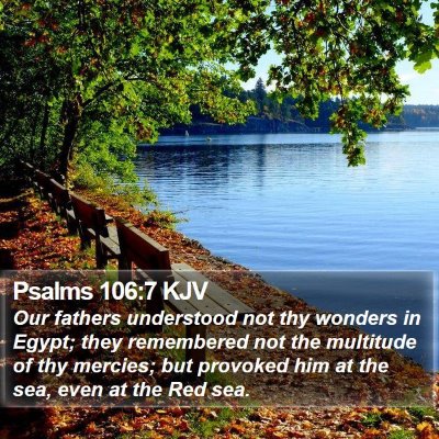 Psalms 106:7 KJV Bible Verse Image