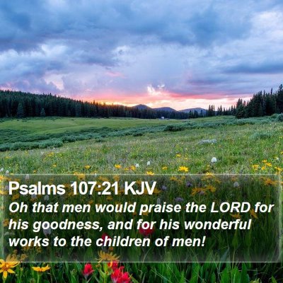 Psalms 107:21 KJV Bible Verse Image