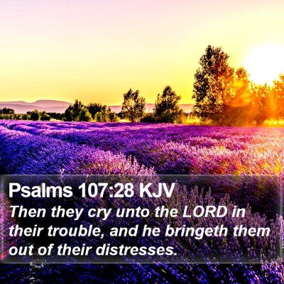Psalms 107:28 KJV Bible Verse Image