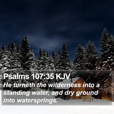 Psalms 107:35 KJV Bible Verse Image