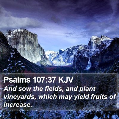 Psalms 107:37 KJV Bible Verse Image
