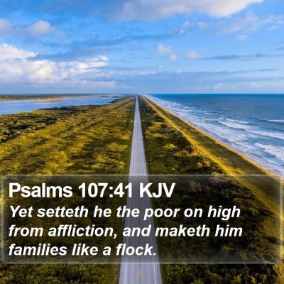 Psalms 107:41 KJV Bible Verse Image