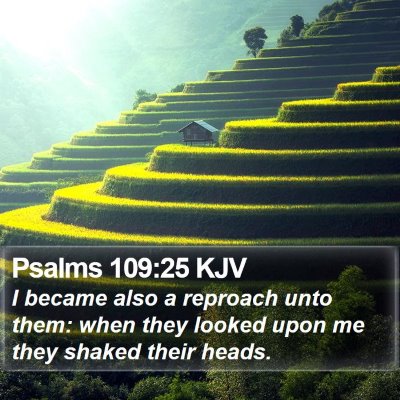 Psalms 109:25 KJV Bible Verse Image