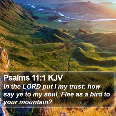 Psalms 11:1 KJV Bible Verse Image