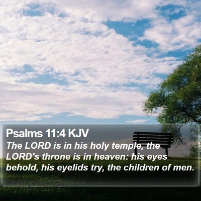 Psalms 11:4 KJV Bible Verse Image