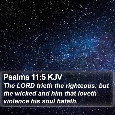 Psalms 11:5 KJV Bible Verse Image